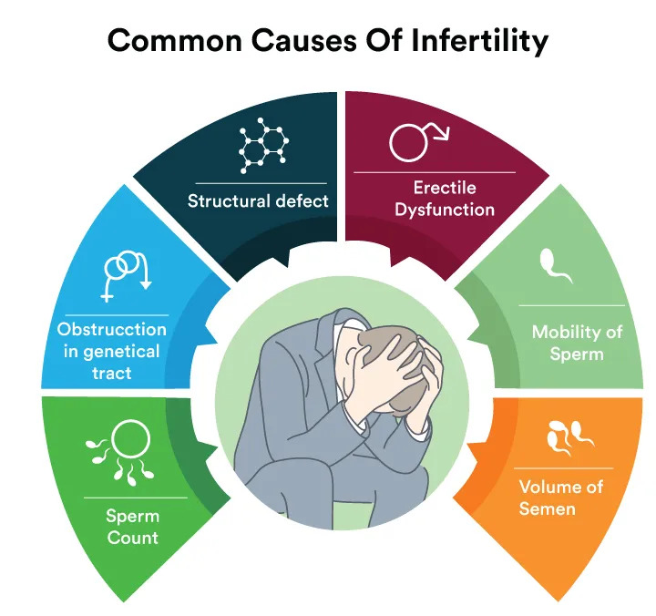 Male Infertility Causes