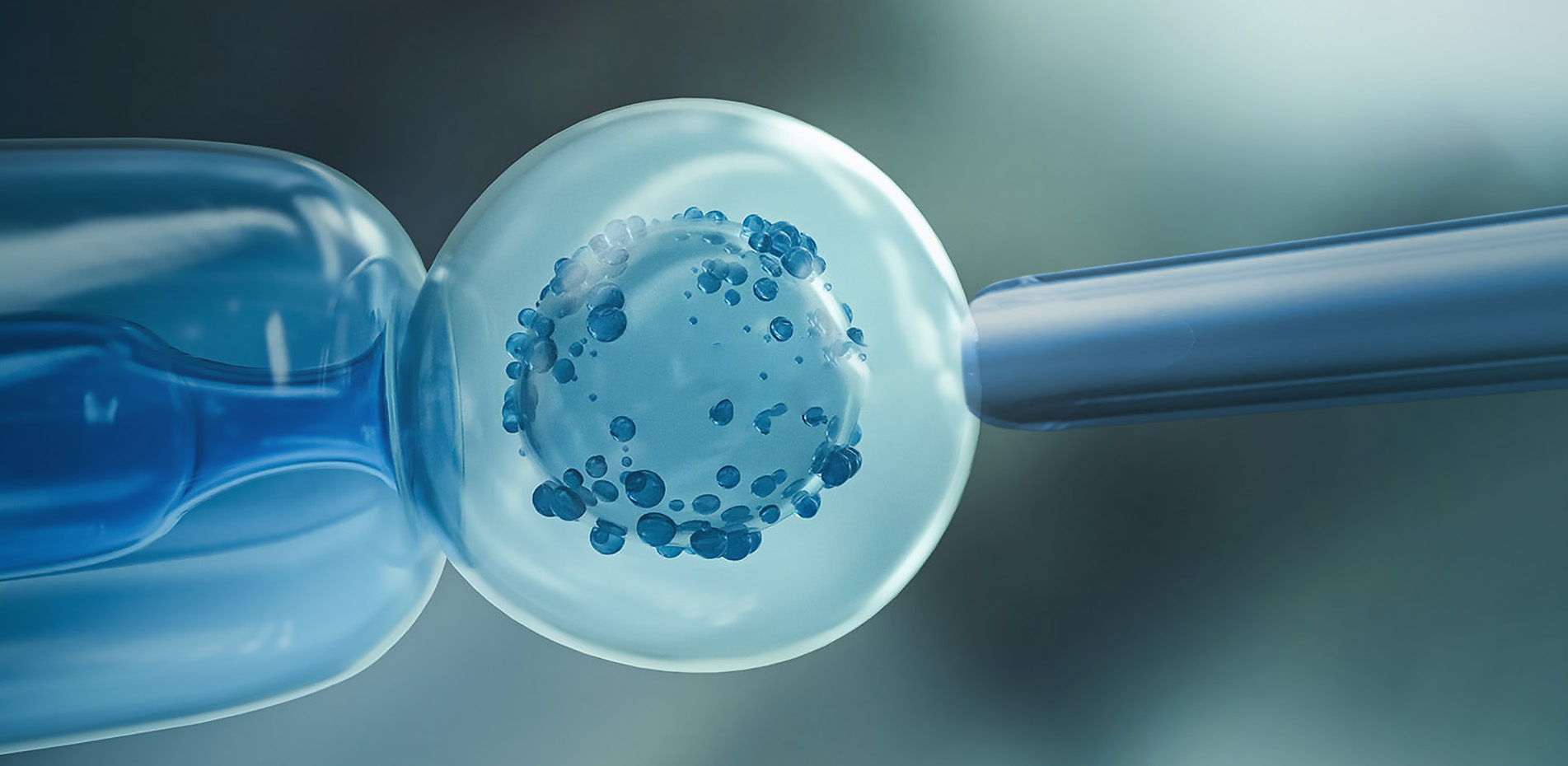 PGT-A Genetic Testing