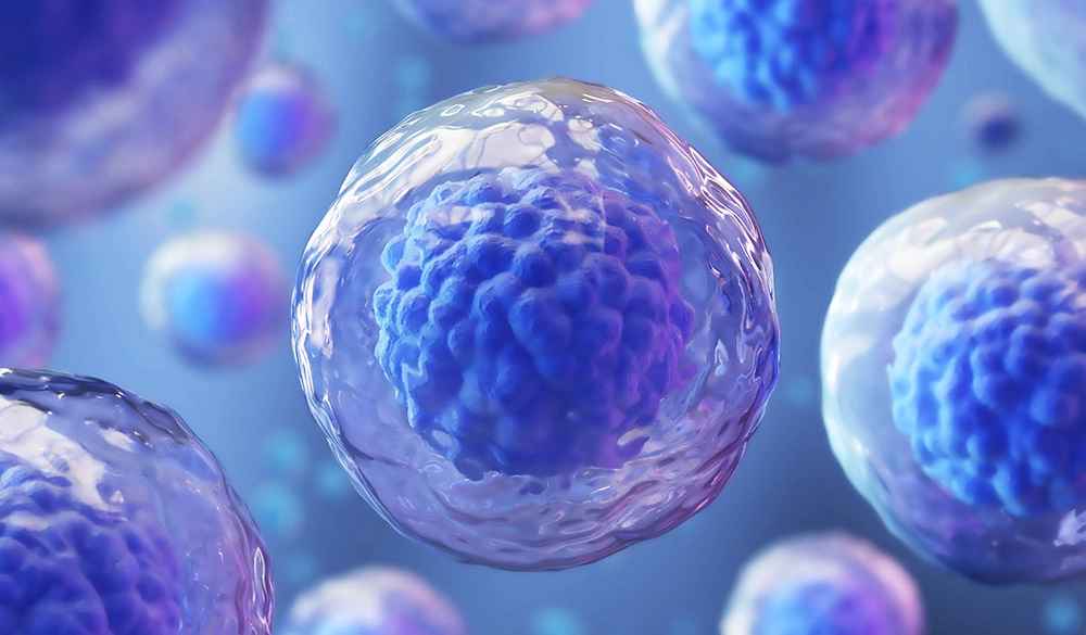 Paternal Lymphocyte Immunization
