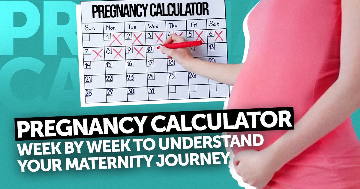 Pregnancy Calculator